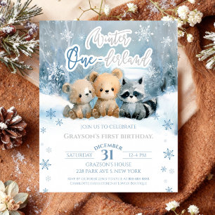 Winter Onederland Bär Blau Erster Geburtstag Budge