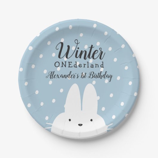 Winter ONEderland Boy 1. Geburtstag Blau Pappteller (Vorderseite)