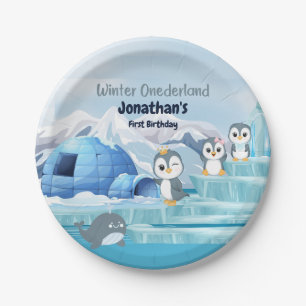 Winter Onederland Erster Geburtstag Niedlicher Pin Pappteller