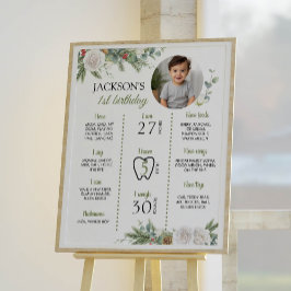 Winter Onederland Geburtstag Foto Milestone Poster