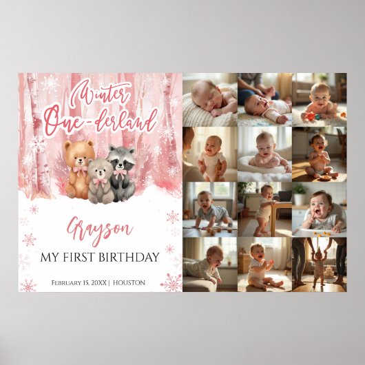 Winter Onederland Pink My First Year Photo Sign Poster (Vorne)