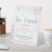 Winter Onederland Time Capsule Sign Sockelschild (In SItu)