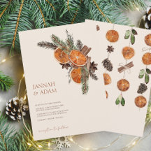 Winter Orange Scheiben getrocknet Citrus Cinnamon