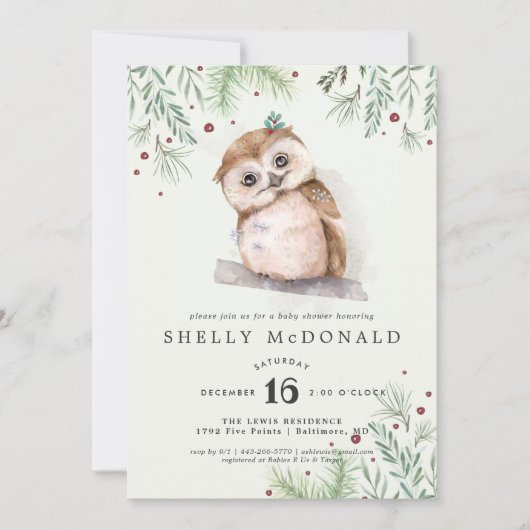 Winter Owl Baby Dusche Einladung (Vorderseite)