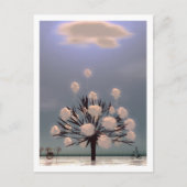 WINTER PARK Postkarte (Vorderseite)