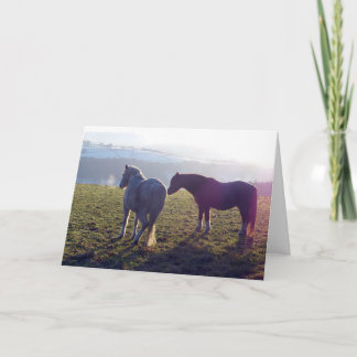 Winter pasture horse card karte