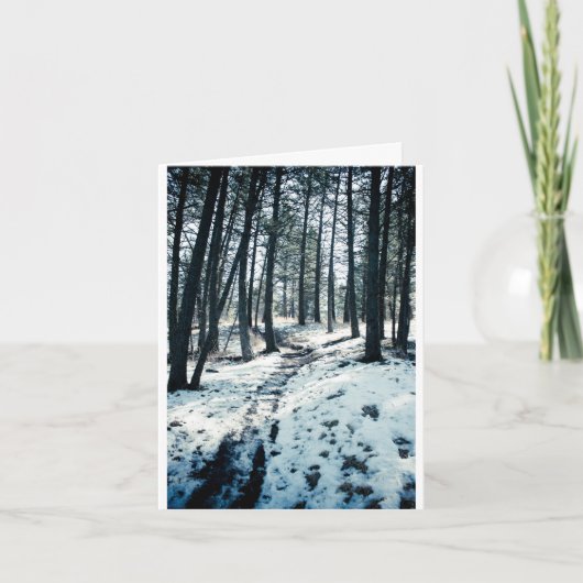 Winter Path Christmas card Feiertagskarte (Vorderseite)