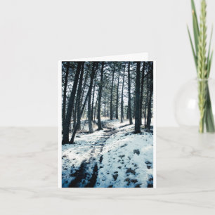 Winter Path Christmas card Feiertagskarte