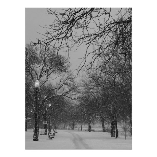 Winter Path Poster (Vorderseite)