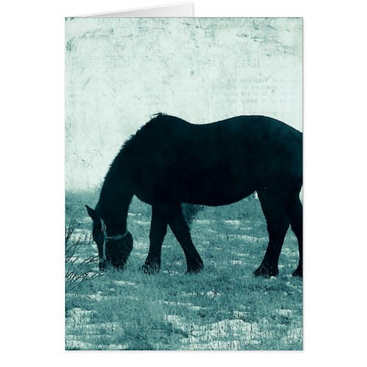 Winter Percheron (Vorne)