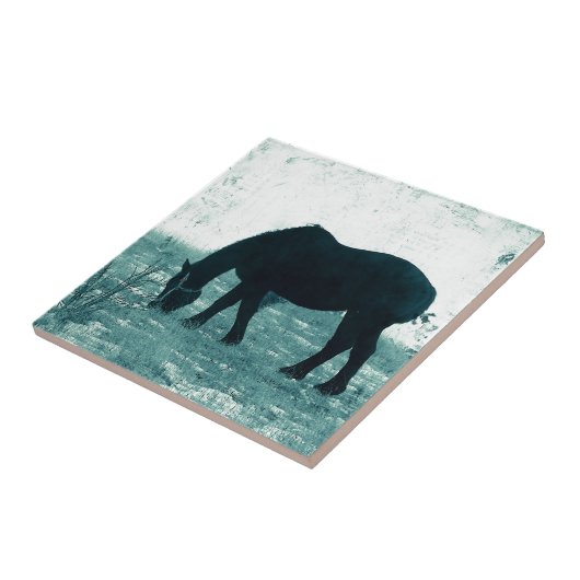 Winter Percheron Fliese (Seite)