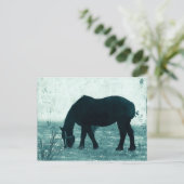 Winter Percheron Postkarte (Stehend Vorderseite)