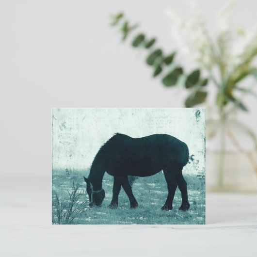 Winter Percheron Postkarte (Stehend Vorderseite)