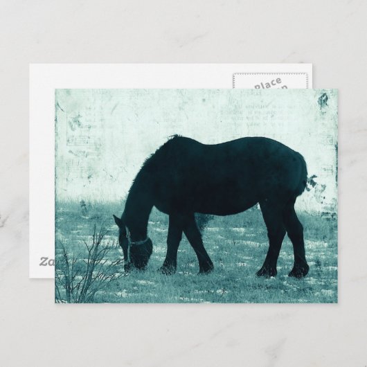 Winter Percheron Postkarte (Vorne/Hinten)