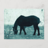 Winter Percheron Postkarte (Vorderseite)