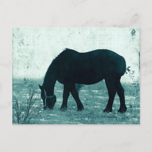 Winter Percheron Postkarte (Vorderseite)