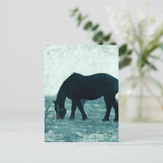 Winter Percheron Postkarte (Stehend Vorderseite)