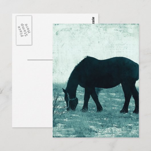 Winter Percheron Postkarte (Vorne/Hinten)