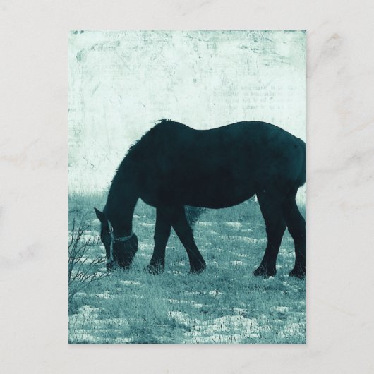 Winter Percheron Postkarte (Vorderseite)
