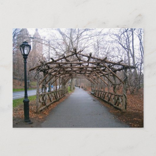 Winter Pergola Central Park New York City NYC Card Postkarte (Vorderseite)