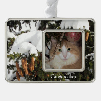 Winter Picture and Custom Foto Weihnachtsschmuck Rahmen-Ornament Silber