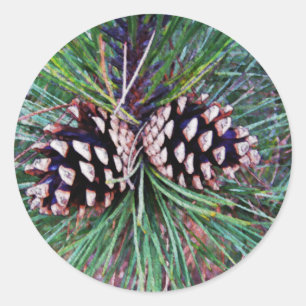 Winter Pine Come Runder Aufkleber