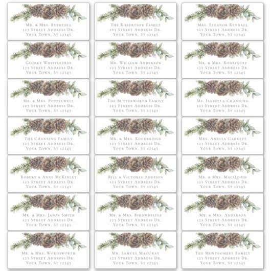 Winter Pine Cone Wedding Guest Address Labels (Vorderseite)