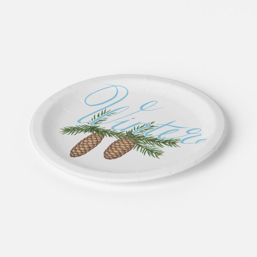 Winter Pine Cones Pappteller (Schrägansicht)