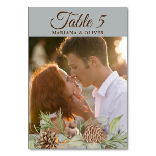 Winter Pine Gray Wedding Tischnummer