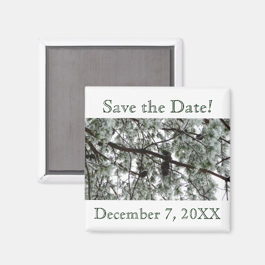 Winter Pine Save the Date Magnet (Vorderseite/Rückseite)