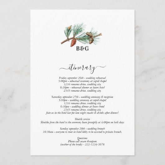 Winter Pine Trees Lantern Hochzeitstag Programm (Rückseite)