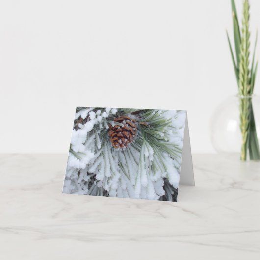 Winter Pinecone Karte (Vorderseite)