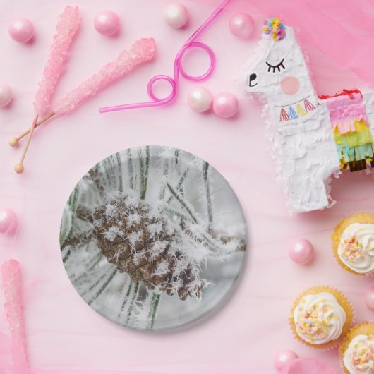 Winter, Pinecone, Schneeflocken Teller (Party)