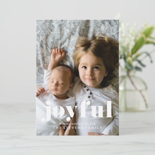 Winter Pinecones Foto (Stehend Vorderseite)