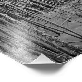 Winter Pines in Yellowstone Fotodruck (Ecke)