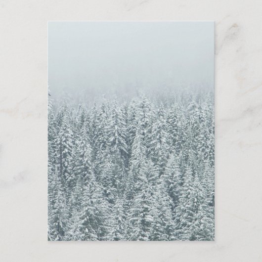 Winter Pines Postkarte (Vorderseite)