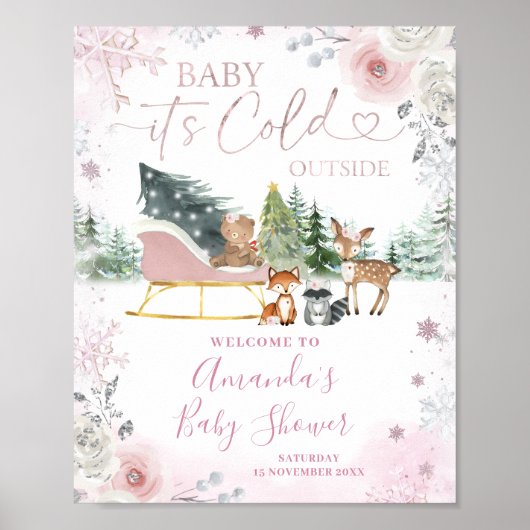 Winter Pink Snowflake Sleigh Baby Shower Welcome Poster (Vorne)