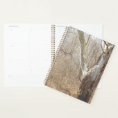 Winter Planer (Anzeige)