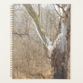 Winter Planer (Vorderseite)