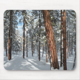Winter Ponderosa Mousepad