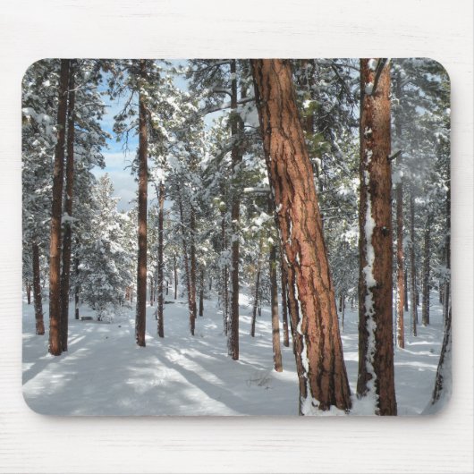 Winter Ponderosa Mousepad (Vorne)