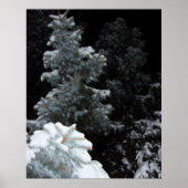 Winter Poster (Vorne)