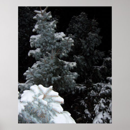 Winter Poster (Vorne)