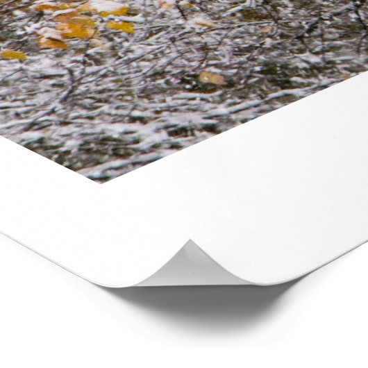 Winter Poster (Ecke)