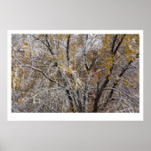 Winter Poster (Vorne)