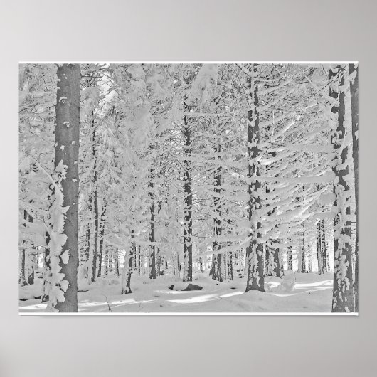 Winter Poster (Vorne)