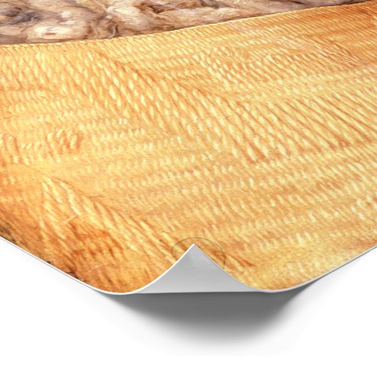 Winter, Poster (Ecke)