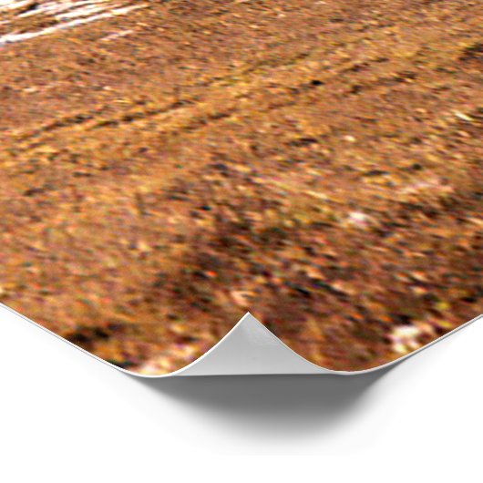 Winter....... Poster (Ecke)