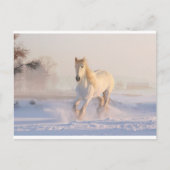 Winter, Postkarte (Vorderseite)