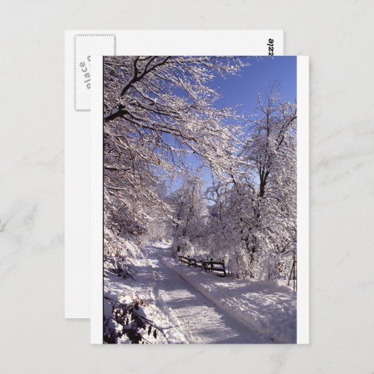 Winter Postkarte (Vorne/Hinten)